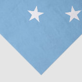 ミクロネシア連邦の旗 薄葉紙 (詳細)