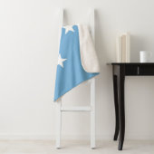 ミクロネシア連邦州国旗 シェルパブランケット (インサイチュ)