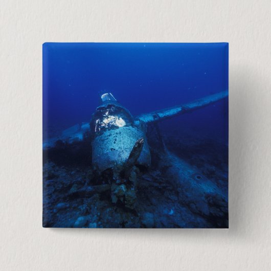 ミクロネシア、パラオ、世界伝統サイト。ウィイ 缶バッジ (正面)