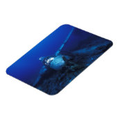 ミクロネシア,パラオ,世界伝統サイト。第二次世界大戦 マグネット (左側)