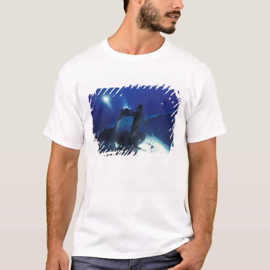 ミクロネシア, パラオ, 世界遺産. ダイバー Tシャツ (正面)
