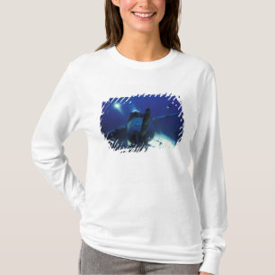 ミクロネシア, パラオ, 世界遺産. ダイバー Tシャツ