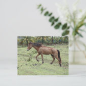 ミクード2 ポストカード (スタンド正面)