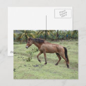 ミクード2 ポストカード (正面/裏面)