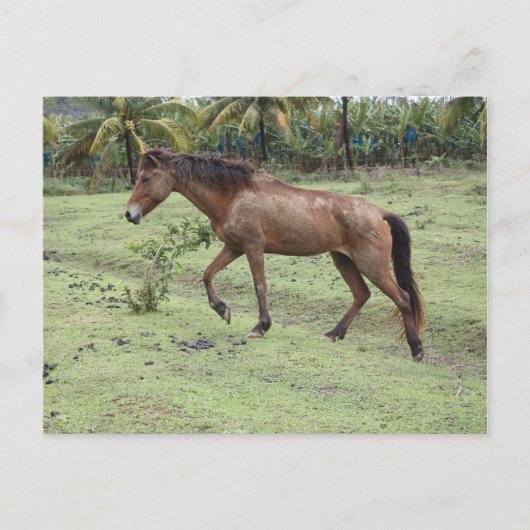 ミクード2 ポストカード (正面)