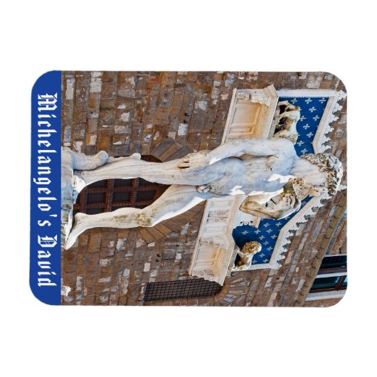 ミケランジェロのダビデ像 - イタリア、トスカーナ地方、フィレンツェ マグネット (横)