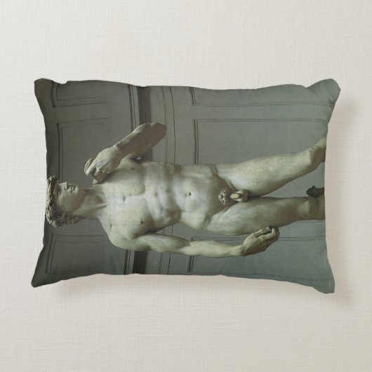 ミケランジェロの『ダビデ像』 アクセントクッション (裏面)