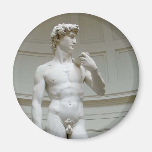 ミケランジェロルネッサンスアート マグネット (正面)