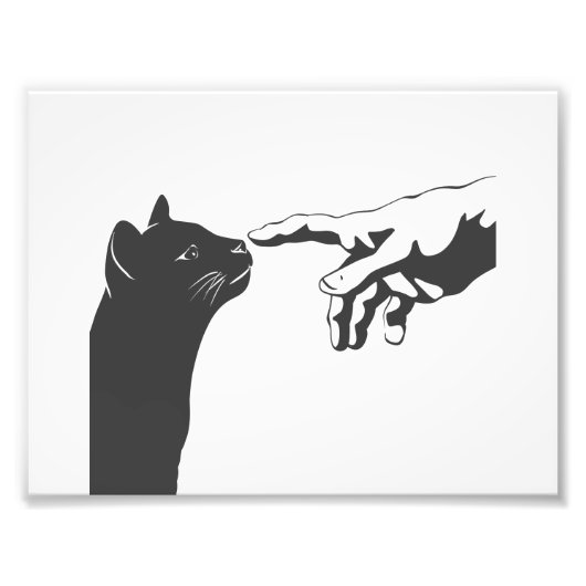 ミケランジェロ猫 – 背景色を選択 フォトプリント (正面)