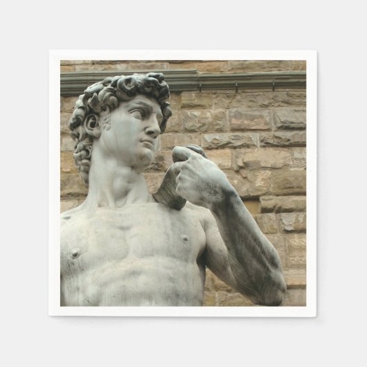 ミケランジェロ・ダビデ1 スタンダードカクテルナプキン (正面)