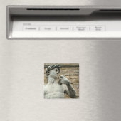 ミケランジェロ・ダビデ1 マグネット (インサイチュ (食洗機))