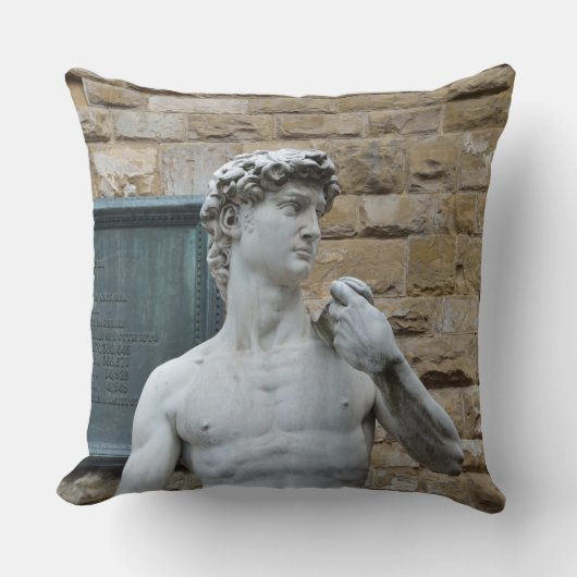 ミケランジェロ・ダビデ クッション (正面)