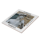 ミケランジェロ・ダビデ タイル (側面)