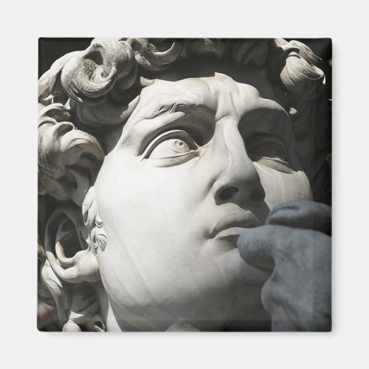 ミケランジェロ・ダビデ マグネット (正面)