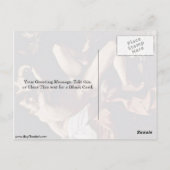 ミケランジェロ・ダ・カラヴァッジョによる洗礼者の聖ヨハネ ポストカード (裏面)