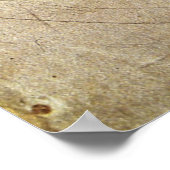 ミケランジェロ ポスター (角)