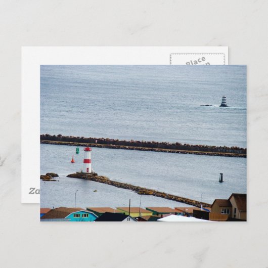 ミケロン ポストカード (正面/裏面)