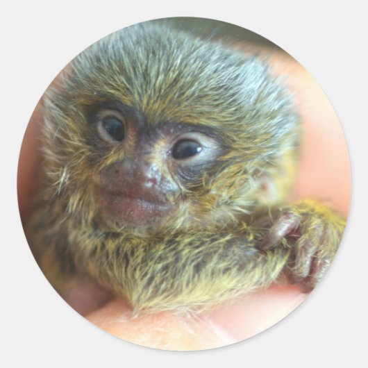 ミコステッカー ラウンドシール (正面)