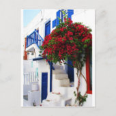 ミコノスの家外に咲くブゲンビリア ポストカード (正面)