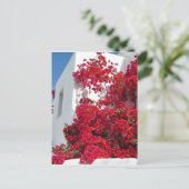 ミコノスハウス ポストカード (スタンド正面)