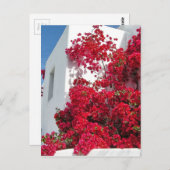 ミコノスハウス ポストカード (正面/裏面)