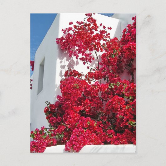 ミコノスハウス ポストカード (正面)