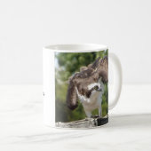 ミサゴのコーヒー・マグ コーヒーマグカップ (正面右)