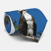 ミサゴのタカメンズタイ ネクタイ (ロール)
