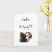 ミサゴの誕生日 カード (黄色い花)