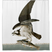 ミサゴの魚タカの鳥の海のAudubonのシャワー・カーテン シャワーカーテン (正面)