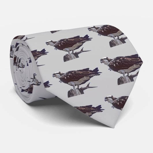 ミサゴの鳥 ネクタイ (ロール)