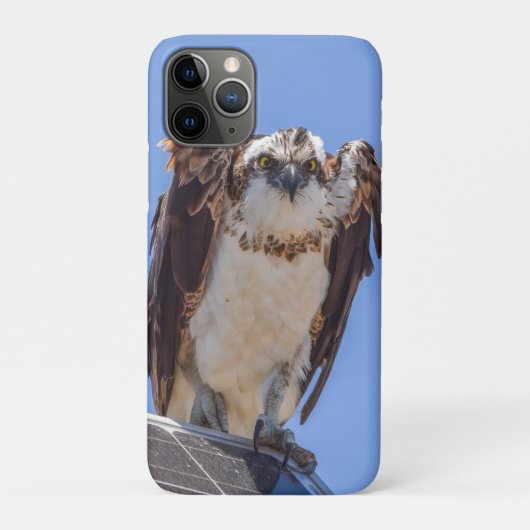 ミサゴのiPhoneケース | 海辺の鳥の写真芸術 Case-Mate iPhoneケース (裏)