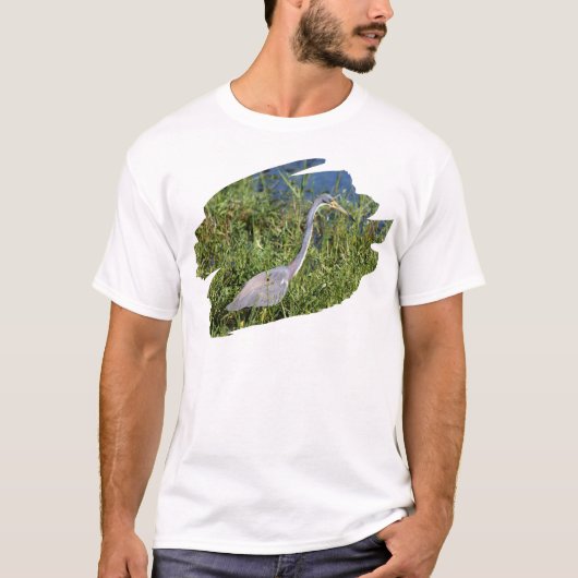ミサゴサギ Tシャツ (正面)