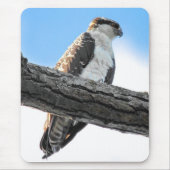 ミサゴ マウスパッド (正面)