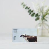 ミサゴ 名刺 (スタンド正面)