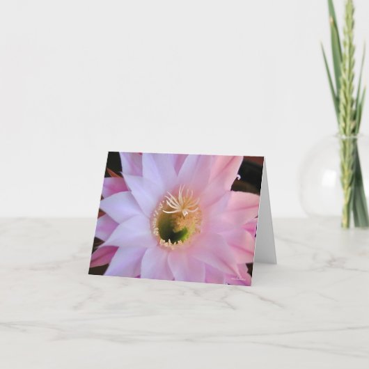 ミシェルのサボテンの花 サンキューカード (正面)