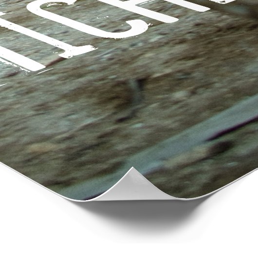 ミシェル、2008年5月 ポスター (角)