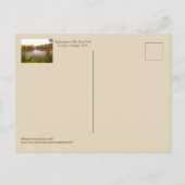 ミシガンの秋のパレット/色がドライブに反映 ポストカード (裏面)