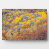 ミシガンの秋 フォトプラーク (正面)