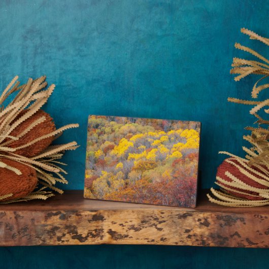 ミシガンの秋 フォトプラーク (側面)