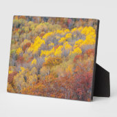 ミシガンの秋 フォトプラーク (側面)