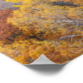 ミシガンの秋 ポスター (角)