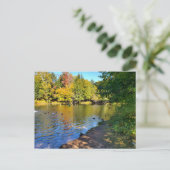 ミシガンの秋 ポストカード (スタンド正面)