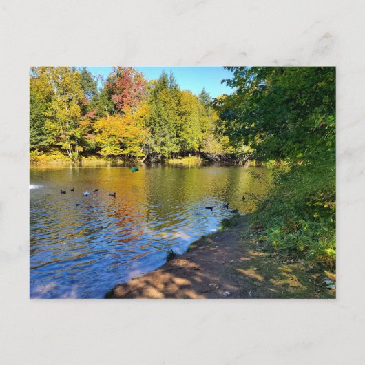 ミシガンの秋 ポストカード (正面)