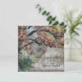 ミシガンの美しい秋の田舎道 招待状 (スタンド正面)