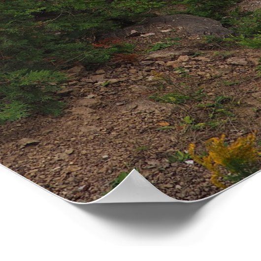 ミシガンアーチロック地質の写真 ポスター (角)