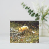 ミシガンキツネはがき ポストカード (スタンド正面)