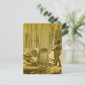 ミシガングドリッジブラザーズSaginaw MI ポストカード (スタンド正面)