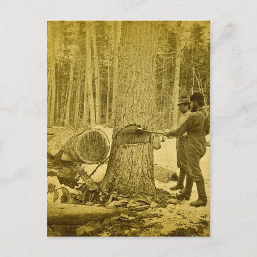 ミシガングドリッジブラザーズSaginaw MI ポストカード (正面)