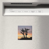 ミシガンサンセット湖 マグネット (インサイチュ (食洗機))